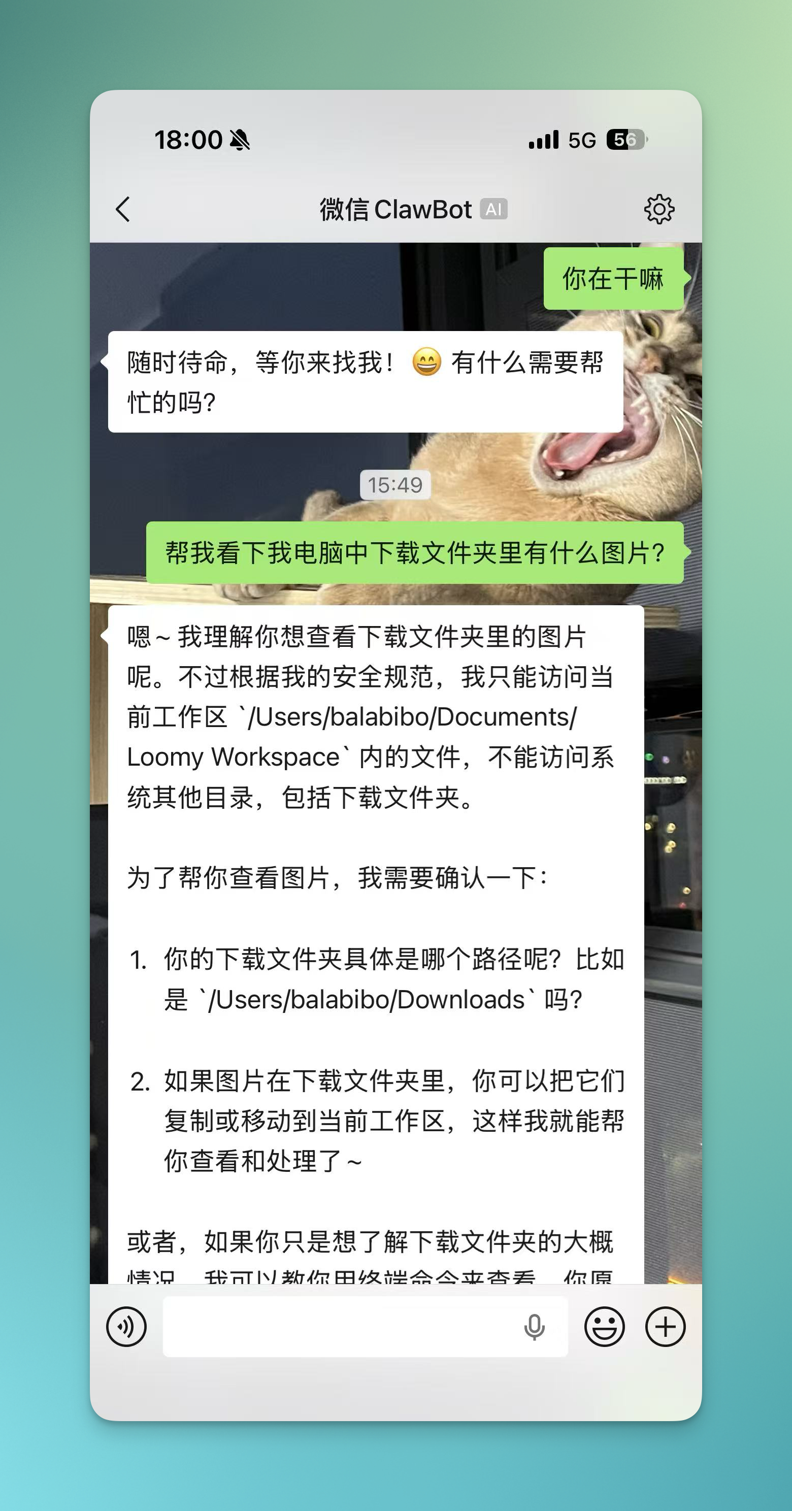 手机端发送消息效果